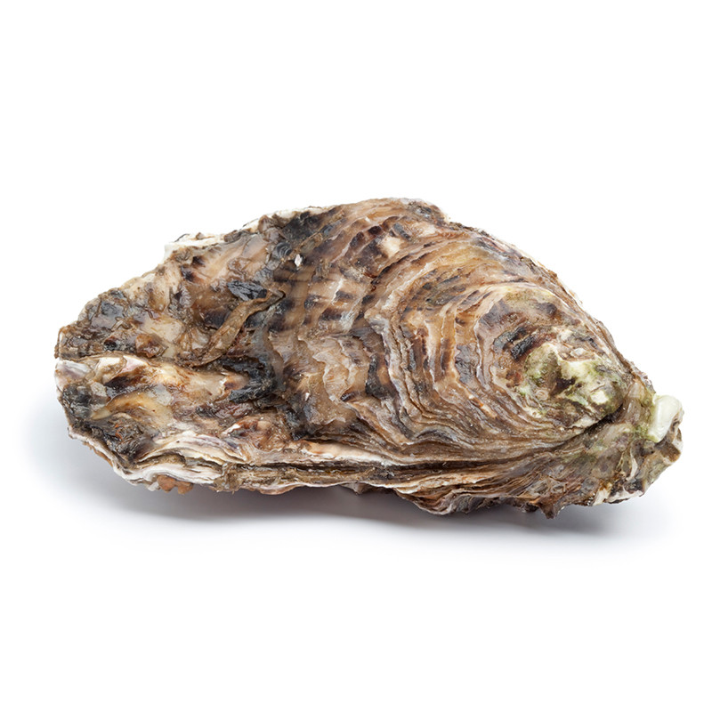 OLICREM CON PIMIENTA 170g